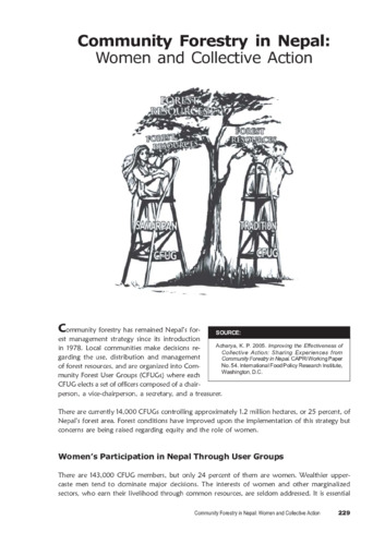 Community forestry in Nepal: Women and collective action | CGIAR Gender ...