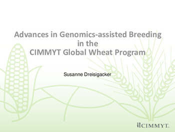 Advances in Genomics-assisted Breeding in the CIMMYT Global Wheat Program