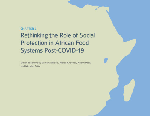 Rethinking the role of social protection in African food systems post ...