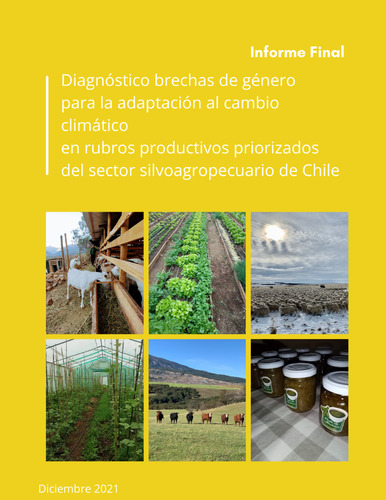 Informe Diagnóstico brechas de género para la adaptación al cambio climático en sectores priorizados del sector silvoagropecuario (2021)