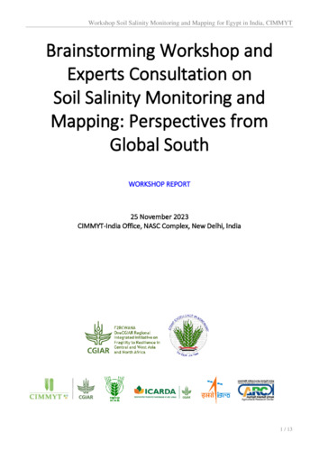 Brainstorming workshop and experts consultation on soil salinity monitoring and mapping: perspectives from Global South