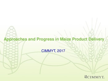 Approaches and progress in maize product delivery