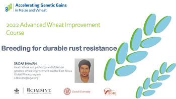 Breeding for durable rust resistance