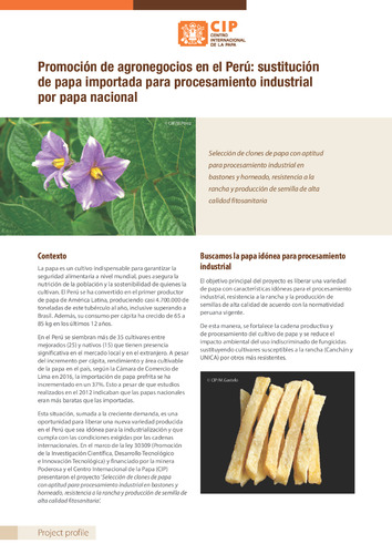 Promocion de agronegocios en el Peru: sustitucion de papa importada para procesamiento industrial por papa nacional. Perfil de proyecto.