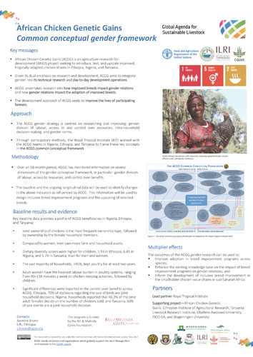 African Chicken Genetic Gains: Common conceptual gender framework