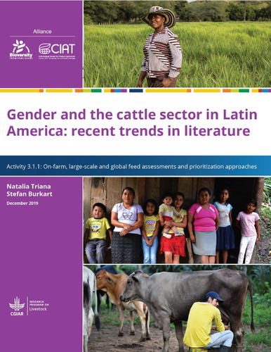 Gender and the cattle sector in Latin America: recent trends in literature