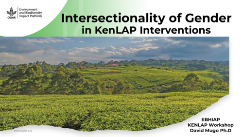 Intersectionality of Gender in KenLAP Interventions