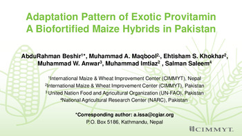 Adaptation Pattern of Exotic Provitamin A Biofortified Maize Hybrids in Pakistan