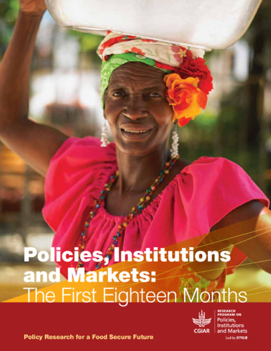 Policies, institutions and markets: The first eighteen months