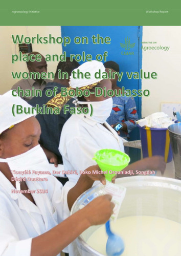 Workshop on the place and role of women in the dairy value chain of Bobo-Dioulasso (Burkina Faso)