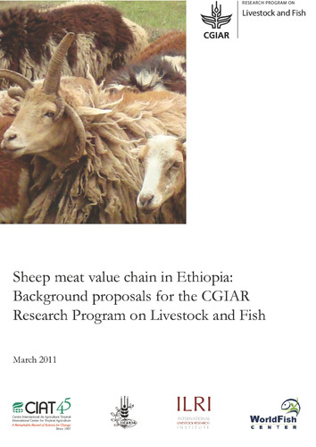 Sheep meat value chain in Ethiopia: Background proposals for the CGIAR Research Program on Livestock and Fish