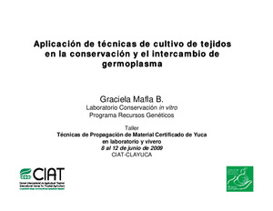 Técnicas de propagación de material certificado de yuca en laboratorio y vivero