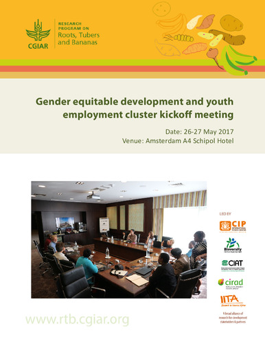 Gender equitable development and youth employment cluster kickoff meeting. Workshop Report