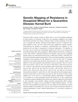 Genetic mapping of resistance in hexaploid wheat for a quarantine disease: karnal bunt