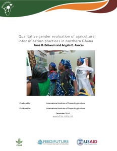 Qualitative gender evaluation of agricultural intensification practices in northern Ghana
