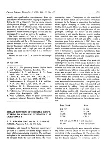 Disease reaction of chickpea graft-hybrids to Fusarium oxysporum f. sp. ciceri race 1