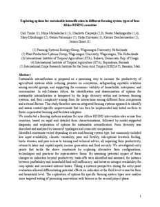 Exploring options for sustainable intensification in different farming system types of four Africa RISING countries