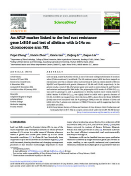 An AFLP marker linked to the leaf rust resistance gene LrBi16 and test of allelism with Lr14a on chromosome arm7BL