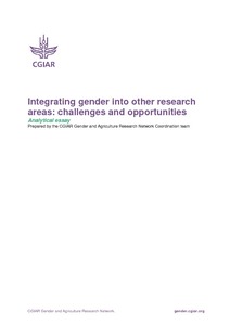 Integrating gender into other research areas: challenges and opportunities