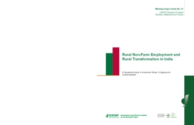 Rural Non-Farm Employment and Rural Transformation in India, Working Paper Series No. 57