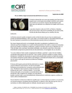 Archivo de Noticias