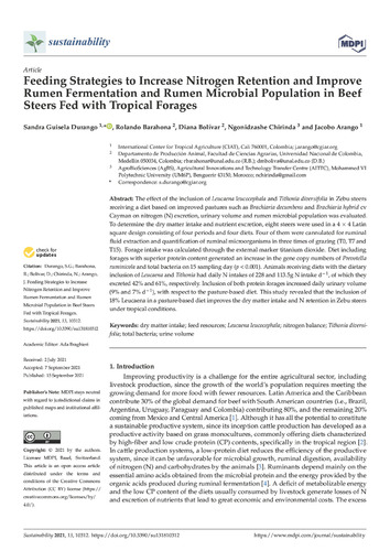 Feeding strategies to increase nitrogen retention and improve rumen fermentation and rumen microbial population in beef steers fed with tropical forages