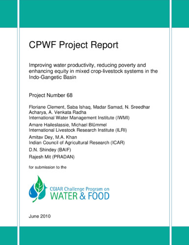 Improving water productivity, reducing poverty and enhancing equity in mixed crop-livestock systems in the Indo-Gangetic Basin