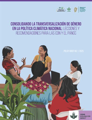 Consolidating gender mainstreaming in national climate policy: Lessons and recommendations for NDCs and the National Climate Change Action Plan (NAPCC)