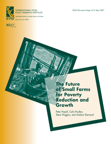 The future of small farms for poverty reduction and growth | CGIAR ...