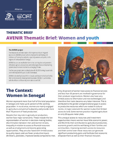 AVENIR Thematic Brief: Women and youth