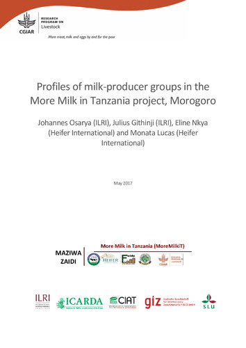 Profiles of milk-producer groups in the More Milk in Tanzania project, Morogoro