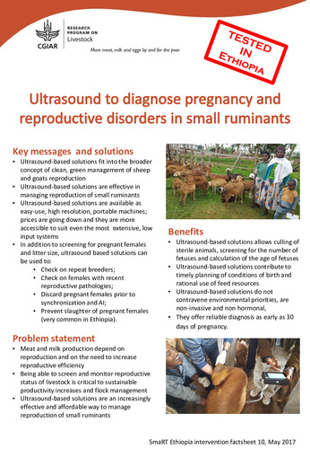 Ultrasound to diagnose pregnancy and reproductive disorders in small ruminants