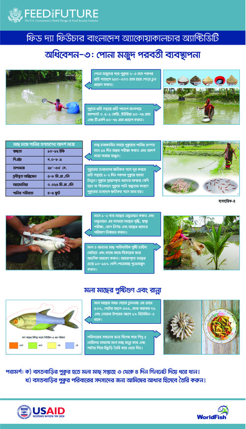 Festoon on post stocking management of fish seed