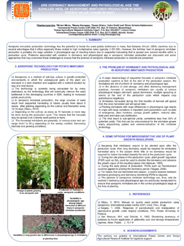 Are dormancy management and physiological age the achilles' heel of aeroponic minituber production in seed potato value chains in SSA?