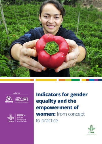 Indicators for gender equality and the empowerment of women: from concept to practice