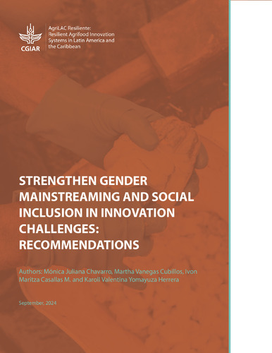 Strengthen gender mainstreaming and social inclusion in innovation challenges: Recommendations