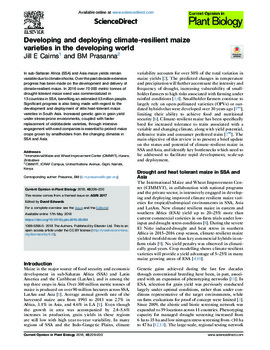 Developing and deploying climate-resilient maize varieties in the developing world