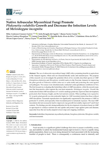 Native arbuscular mycorrhizal fungi promote Plukenetia volubilis growth and decrease the infection levels of Meloidogyne incognita