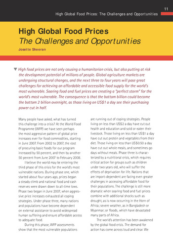 High global food prices-- The challenges and opportunities: IFPRI 2007-2008 Annual Report Essay