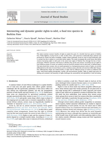 Intersecting and dynamic gender rights to néré, a food tree species in Burkina Faso