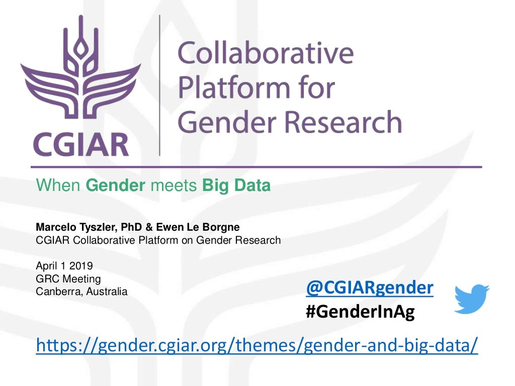CGIAR Collaborative Platform for Gender Research - Gender meets big data