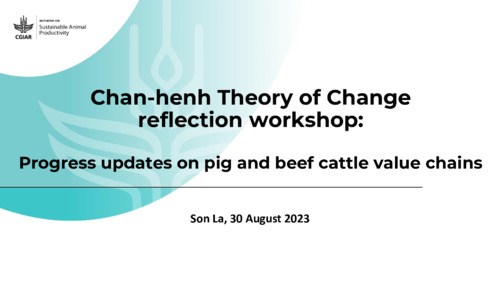 Chan-henh Theory of Change reflection workshop: Progress updates on pig and beef cattle value chains