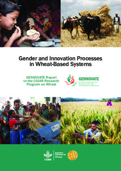 Gender and innovation processes in wheat-based systems