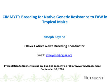 CIMMYT’s breeding for native genetic resistance to FAW in tropical maize