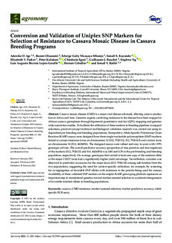 Conversion and validation of uniplex SNP markers for selection of resistance to cassava mosaic disease in cassava breeding programs