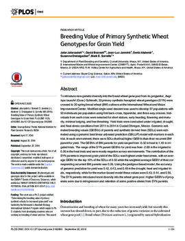 Breeding value of primary synthetic wheat genotypes for grain yield