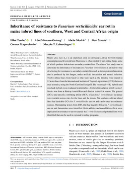 Inheritance of resistance to Fusarium verticillioides ear rot in maize inbred lines of southern, West and Central Africa origin