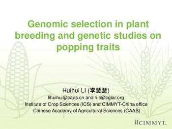 Genomic selection in plant breeding and genetic studies on popping traits