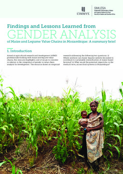 Findings and Lessons Learned from GENDER ANALYSIS of maize and legume value chains in Mozambique:  A summary brief