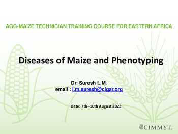 Diseases of maize and phenotyping